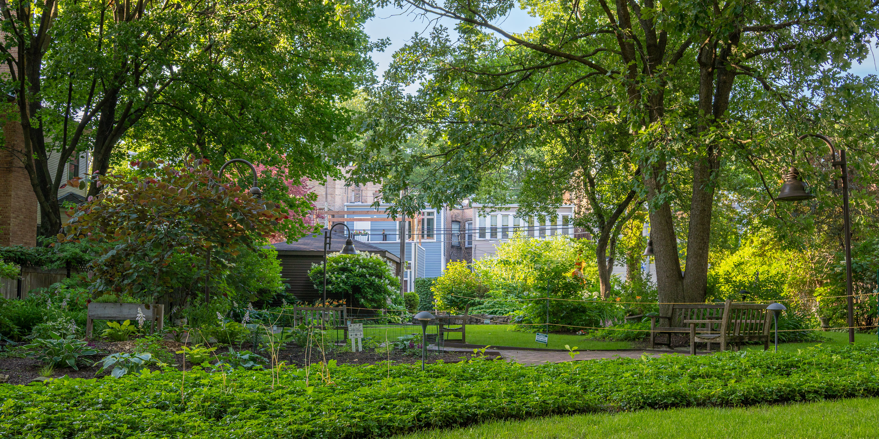Warner Park and Gardens — shaded garden path beneath the tree canopy